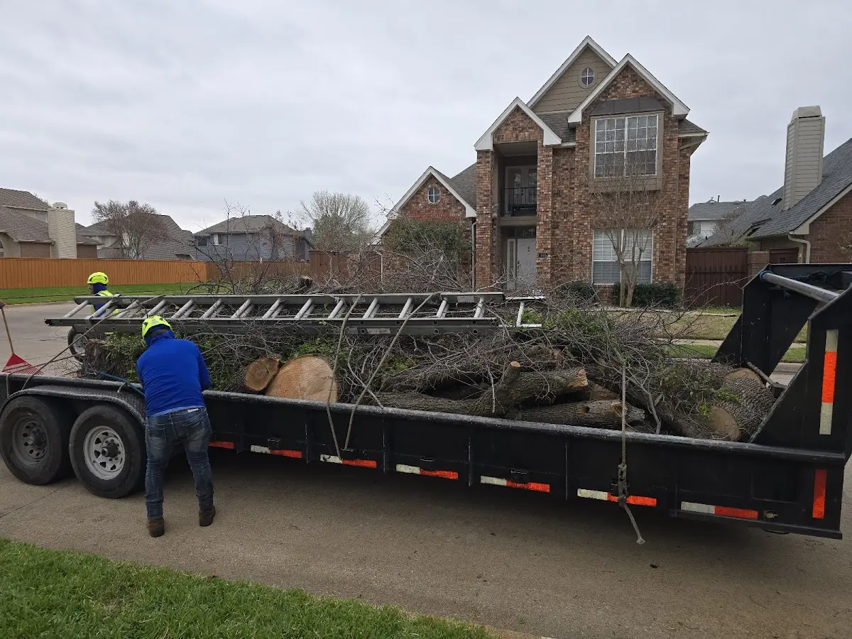 Expert Crown Reduction with proper safety equipment in Glenwood Landing